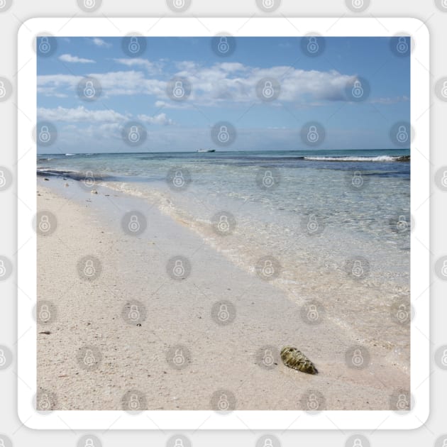 Isla Saona Seashell on Caribbean Beach Sticker by Christine aka stine1